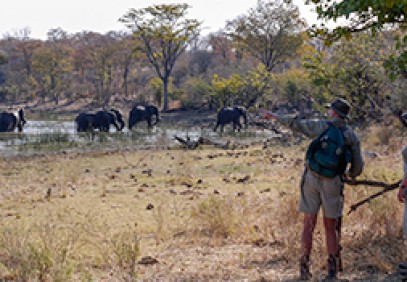 South Africa, Zimbabwe and Botswana Safari