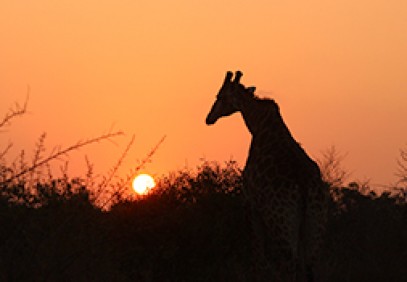 South Africa Spectacular