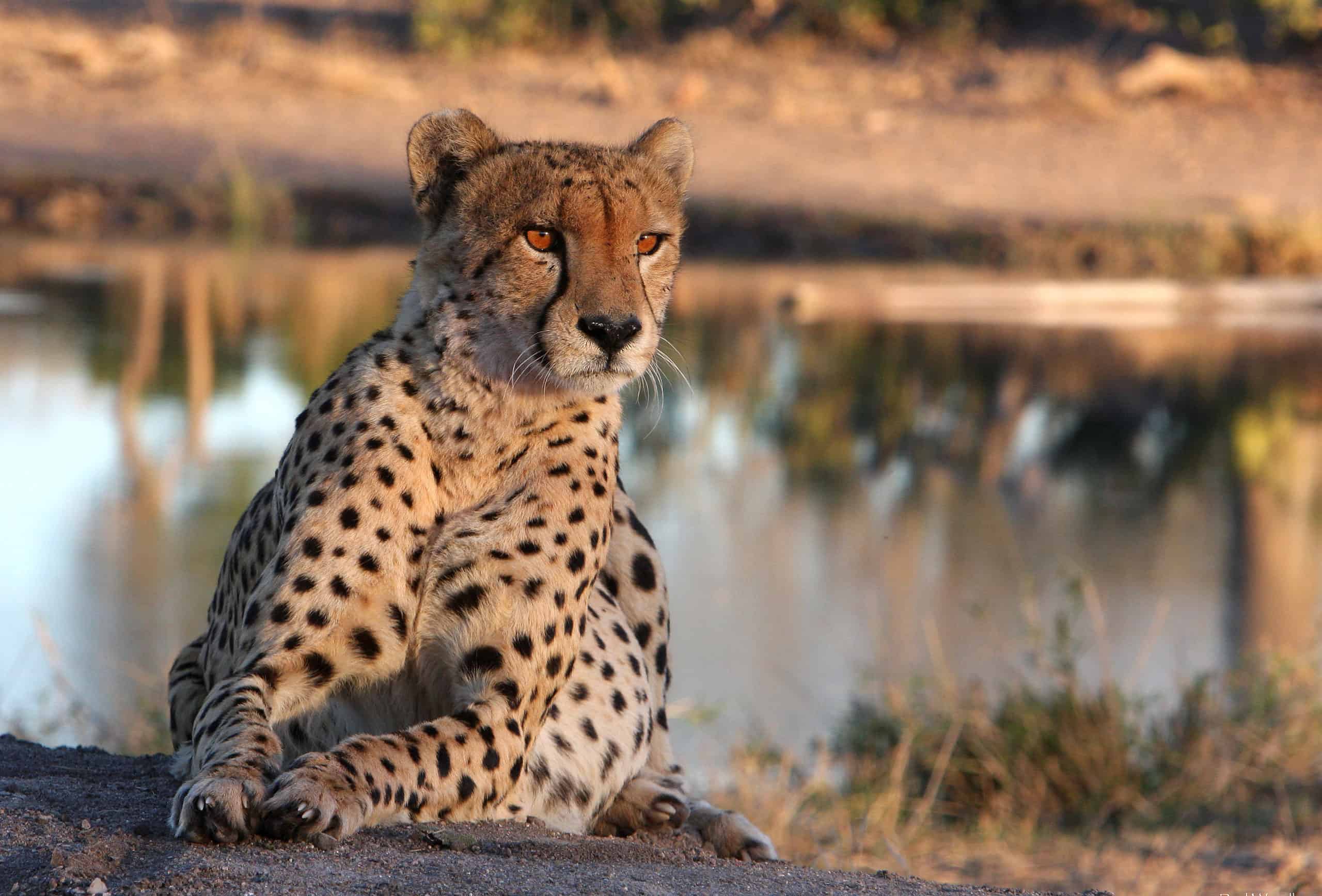 7-Day Explore Kenya Safari