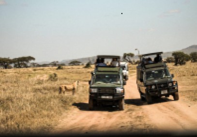 6 Days Luxury Safari in Tanzania