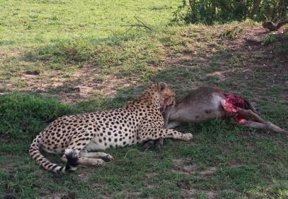 4-Day Budget Kenyan Safari