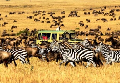 10 Days Budget Safari in Tanzania