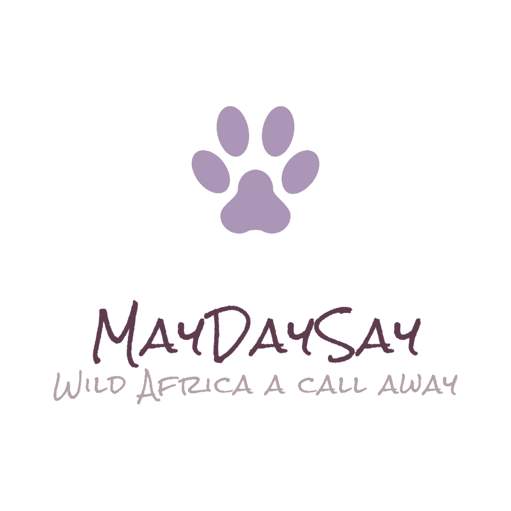MayDaySay Tours and Travel