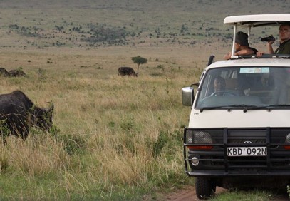 8 Days Kenya Safari Masai Mara, Lake Nakuru, Lake Bogoria & Amboseli
