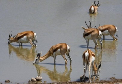 7-Day Namibia Camping Safari