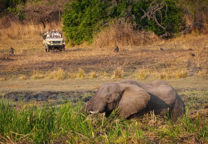 12 Days Victoria Falls, Kafue, South Luangwa, Lower Zambezi Safari