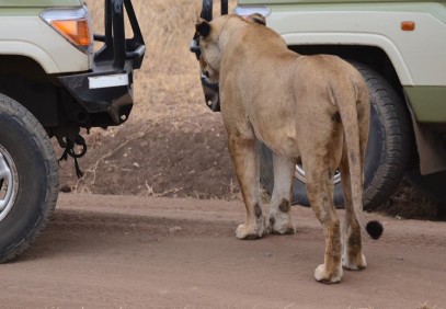 8-Day Cultural Safari