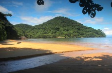 6-Day Madagascar Masoala Wildlife Tour