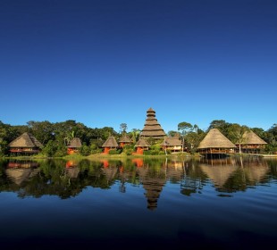 5-Day Yasuni National Park Safari