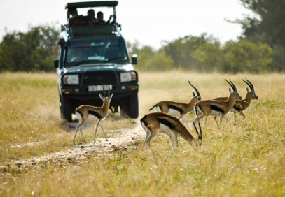 10-Day Kafue Wildlife, Art and Photography Safari
