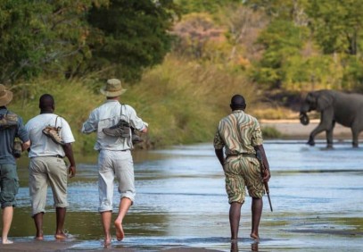 4 Days Best of South Luangwa Luxury Safari