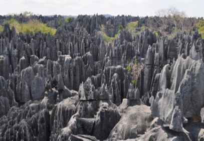 10-Day Tsiribihina River Trip & Tsingy of Bemaraha