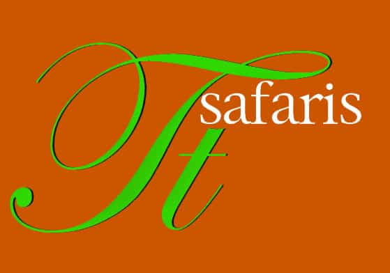 The Insight Tanzania Safaris