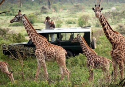 3 Days Heart of Masai Mara Safari