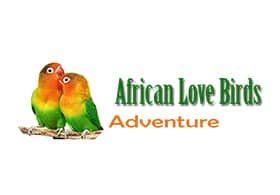 African Love Birds Adventure
