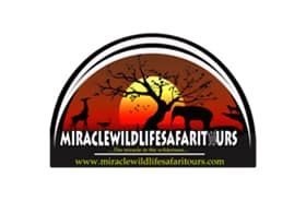 Miracle Wildlife Safari Tours