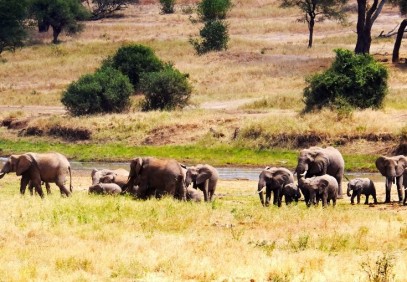 4-Day Tarangire, Serengeti & Ngorongoro Crater Safari