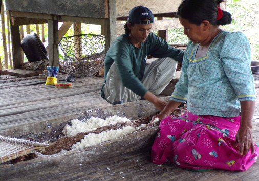 Kodak Digital Still Camera