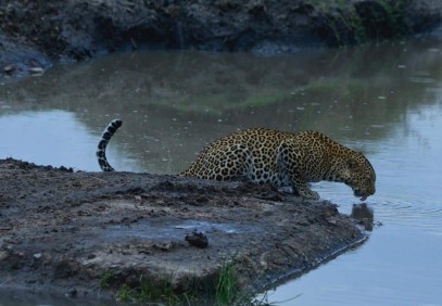 Classic Luxury and Thrilling Kenya, Tanzania and Zanzibar