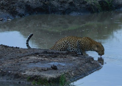 Classic Luxury and Thrilling Kenya, Tanzania and Zanzibar