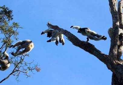 14-Day Madagascar Highlight Tour