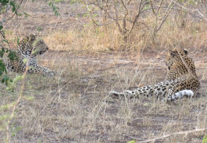 3-Day Safari in Queen Elizabeth National Park