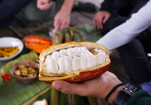 Whatsapp Image 2024 02 27 At 10.19.14