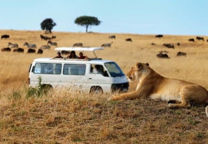3 Days Masai Mara Big Five Safari