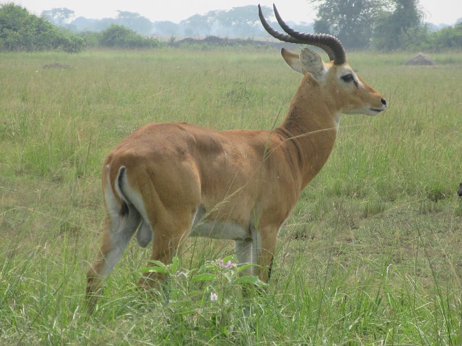 Really positive experience with Go Volunteer Africa