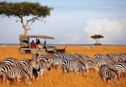 3-Day Camping Safari in Masai Mara National Reserve