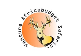 Venture Africa Budget Safaris