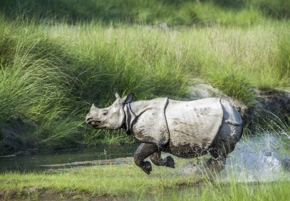 Explore Wild Nepal