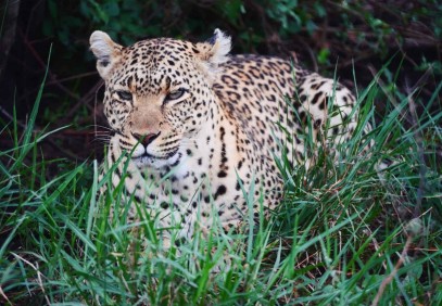 3-Day Tanzania Join Group Shared Safari