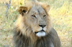 10-Day Luxury Tented Camp Safari