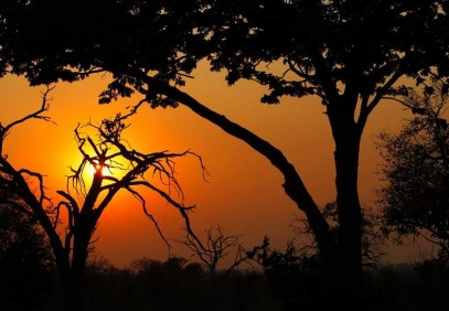 12-Day Victoria Falls to Okavango Delta Safari