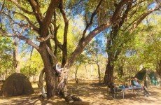 9-Day Botswana Classic Camping Safari