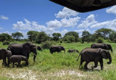 5-Day Northern Tanzania Sharing Safari