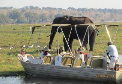 Vic Falls to Chobe National Park Day Trip