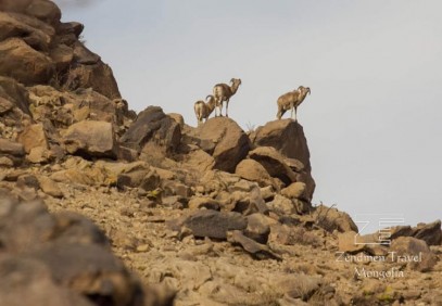 Safari to the Gobi Desert – Small Circuit