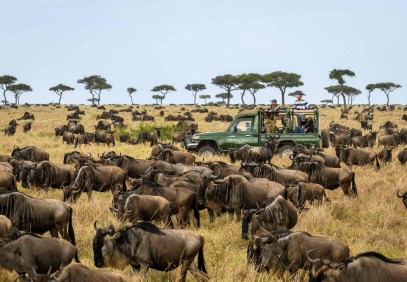 7 Days Kenya Wildlife Safari