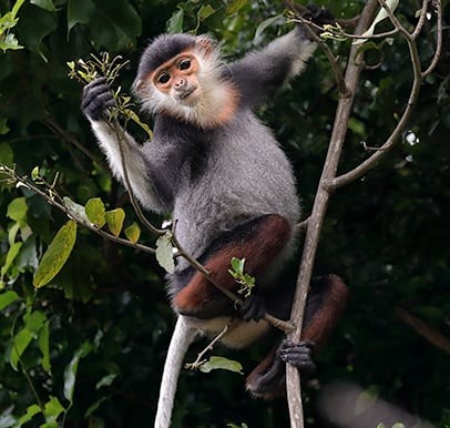 Vietnam