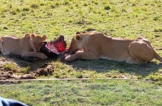 7-Day Kenyan Camping Safari