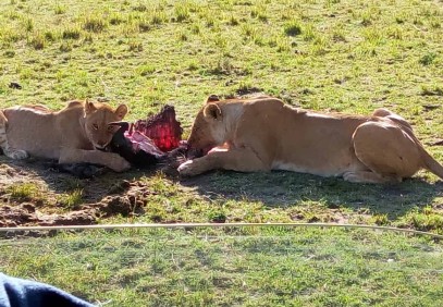 7-Day Kenyan Camping Safari