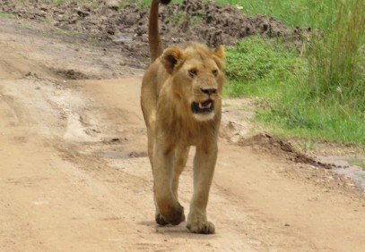 7-Day Kenya Tour