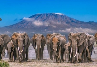 4-Day Luxury Elephant Trail Safari