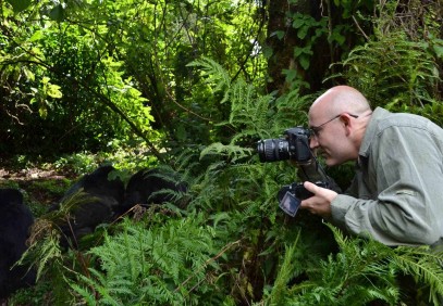 4-Day Gorilla Trekking