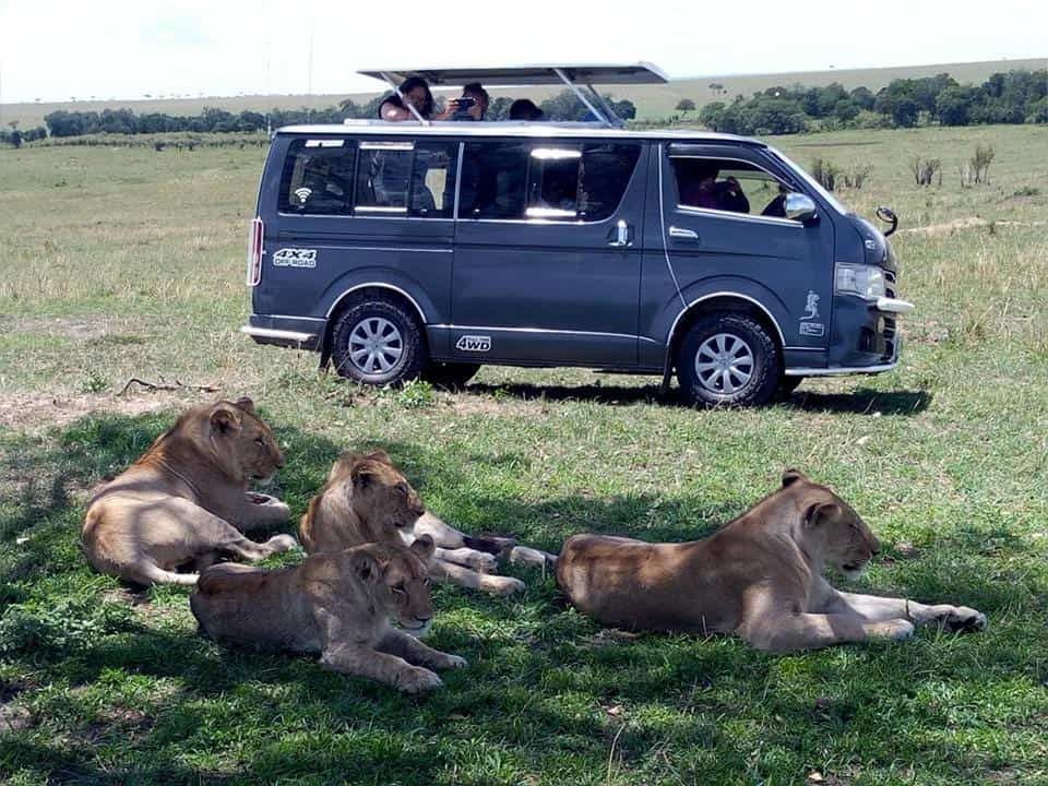 9-Day Masai Mara & Serengeti Camping Safari
