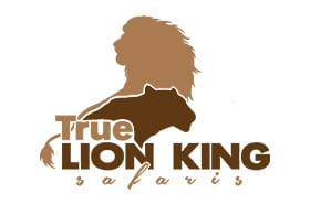 True Lion King Safaris
