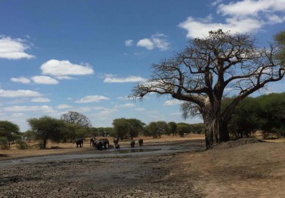 7-Day Best of Tanzania Camping Safari