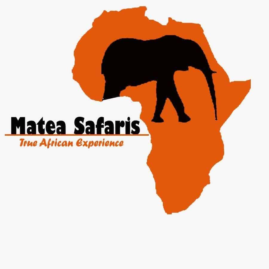 Matea Tours & Safaris